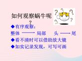 三年级科学上册2.2《蜗牛一》课件（4）教科版
