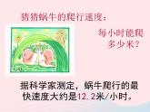 三年级科学上册2.2《蜗牛一》课件（4）教科版