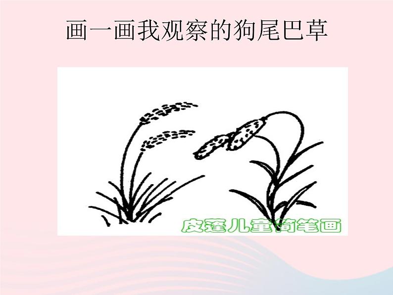 三年级科学上册1.3《大树和小草》课件（4）教科版04