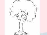 三年級(jí)科學(xué)上冊(cè)1.2《校園的樹(shù)木》課件（1）教科版