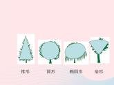 三年級(jí)科學(xué)上冊(cè)1.2《校園的樹(shù)木》課件（1）教科版