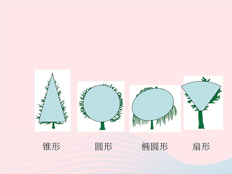 三年级科学上册1.2《校园的树木》课件（1）教科版第5页