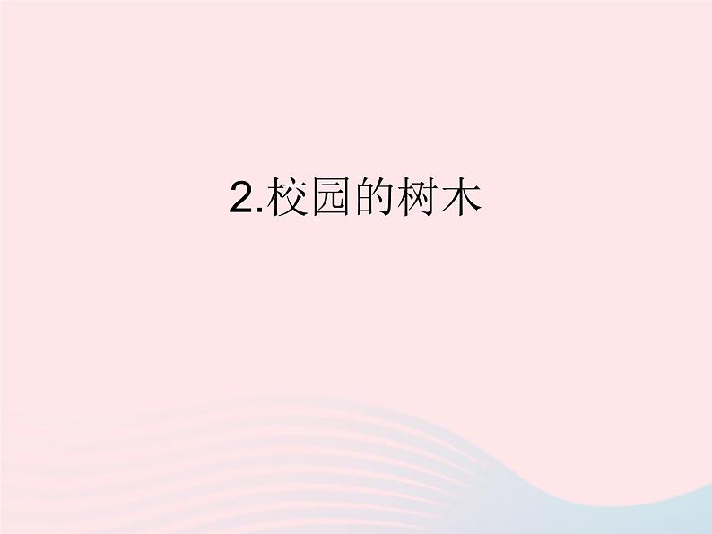 三年级科学上册1.2《校园的树木》课件（4）教科版第1页