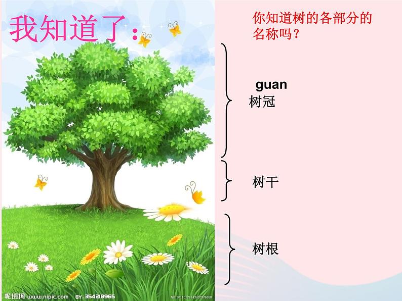 三年级科学上册1.2《校园的树木》课件（4）教科版第6页