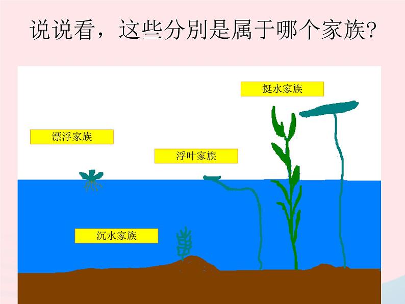 三年级科学上册1.4《水生植物》课件（3）教科版04