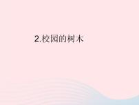 科学2、校园的树木评课课件ppt