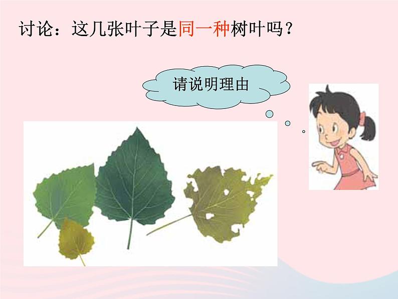 三年级科学上册1.5《植物的叶》课件（4）教科版第6页