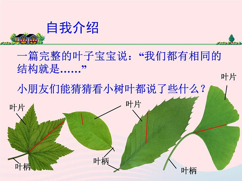 三年级科学上册1.5《植物的叶》课件（5）教科版06