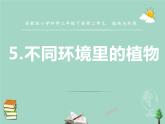三年级科学下册第二单元植物与环境5不同环境里的植物课件1苏教版