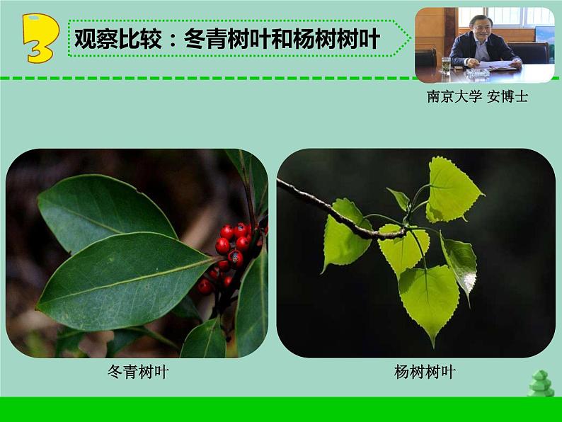 三年级科学下册第二单元植物与环境5不同环境里的植物课件1苏教版05