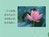 三年级科学下册第二单元植物与环境7水里的植物课件2苏教版