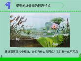 三年级科学下册第二单元植物与环境7水里的植物课件2苏教版