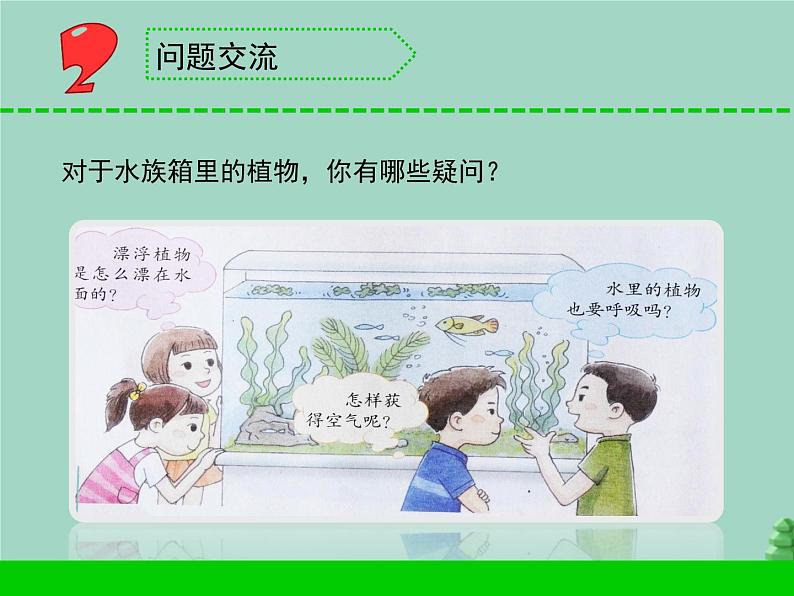 三年级科学下册第二单元植物与环境7水里的植物课件2苏教版04