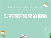 三年级科学下册第二单元植物与环境5不同环境里的植物课件2苏教版