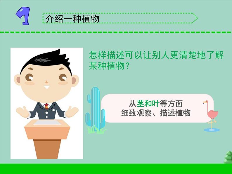 三年级科学下册第二单元植物与环境5不同环境里的植物课件2苏教版02