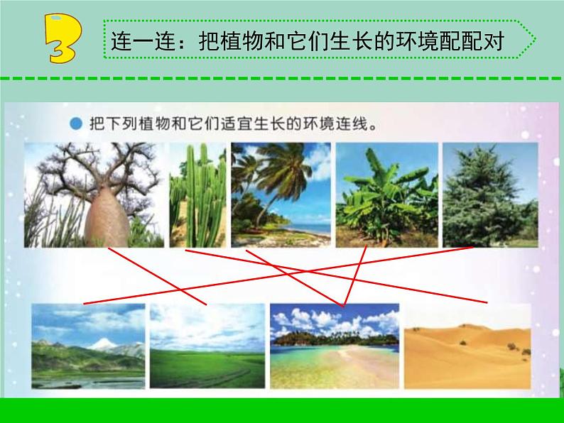 三年级科学下册第二单元植物与环境5不同环境里的植物课件2苏教版04