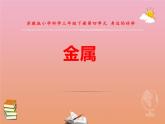 三年级科学下册第四单元身边的材料14金属课件2苏教版