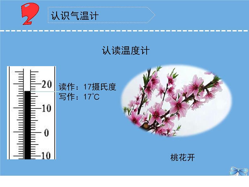 三年级科学下册第五单元观测天气16测量气温课件苏教版 (1)第7页