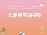三年级科学下册第二单元植物与环境6沙漠里的植物课件2苏教版