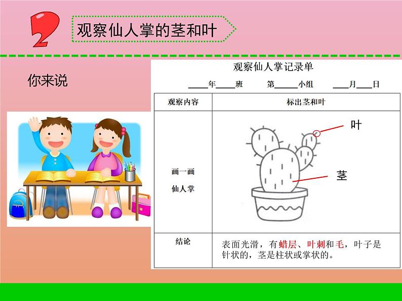 三年级科学下册第二单元植物与环境6沙漠里的植物课件2苏教版08