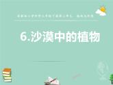 三年级科学下册第二单元植物与环境6沙漠里的植物课件1苏教版