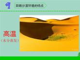 三年级科学下册第二单元植物与环境6沙漠里的植物课件1苏教版