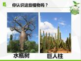 三年级科学下册第二单元植物与环境5不同环境里的植物课件苏教版