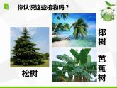 三年级科学下册第二单元植物与环境5不同环境里的植物课件苏教版
