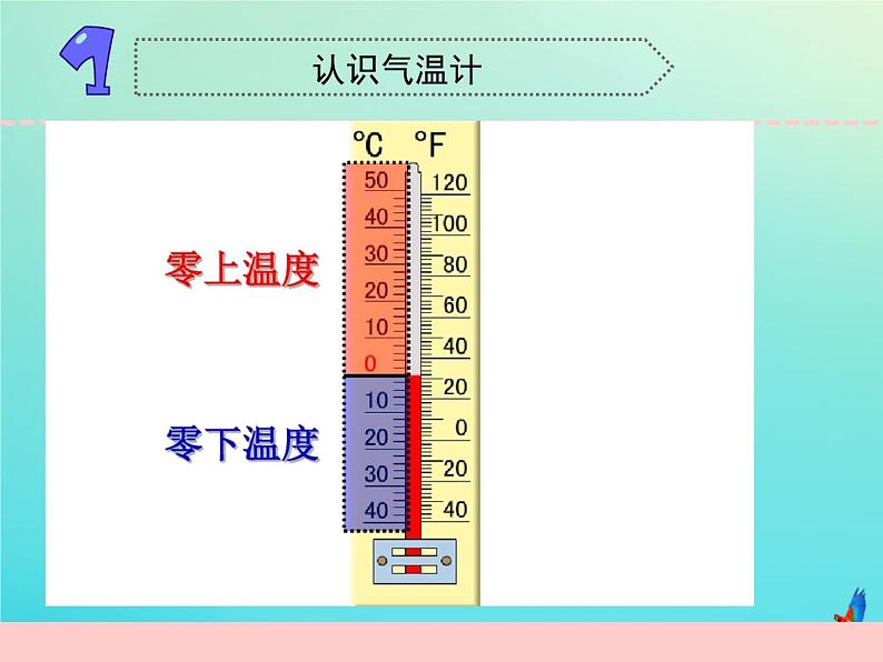 三年级科学下册第五单元观测天气16测量气温课件苏教版第4页