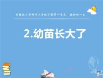 科学三年级下册第一单元 植物的一生2 幼苗长大了教课内容ppt课件