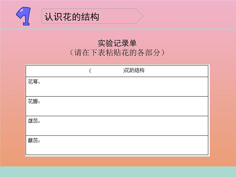 三年级科学下册第一单元植物的一生3植物开花了课件1苏教版第2页