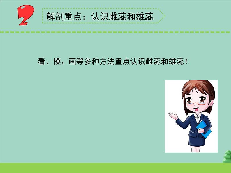 三年级科学下册第一单元植物的一生3植物开花了课件3苏教版07