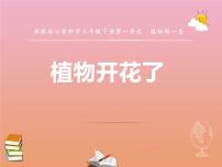 科学三年级下册3 植物开花了课文内容ppt课件