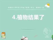 小学科学苏教版 (2017)三年级下册第一单元 植物的一生4 植物结果了示范课ppt课件