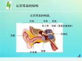 三年级科学下册第三单元声音的奥秘10声音的传播课件苏教版 (1)