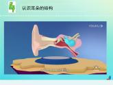 三年级科学下册第三单元声音的奥秘10声音的传播课件苏教版 (1)