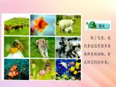 三年级科学上册第二单元动物的特征3动物的分类课件大象版