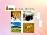 三年级科学上册第二单元动物的特征3动物的分类课件大象版