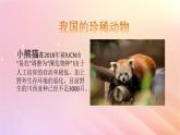 三年级科学上册第二单元动物的特征5珍稀动物教学课件大象版