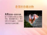 三年级科学上册第二单元动物的特征5珍稀动物教学课件大象版