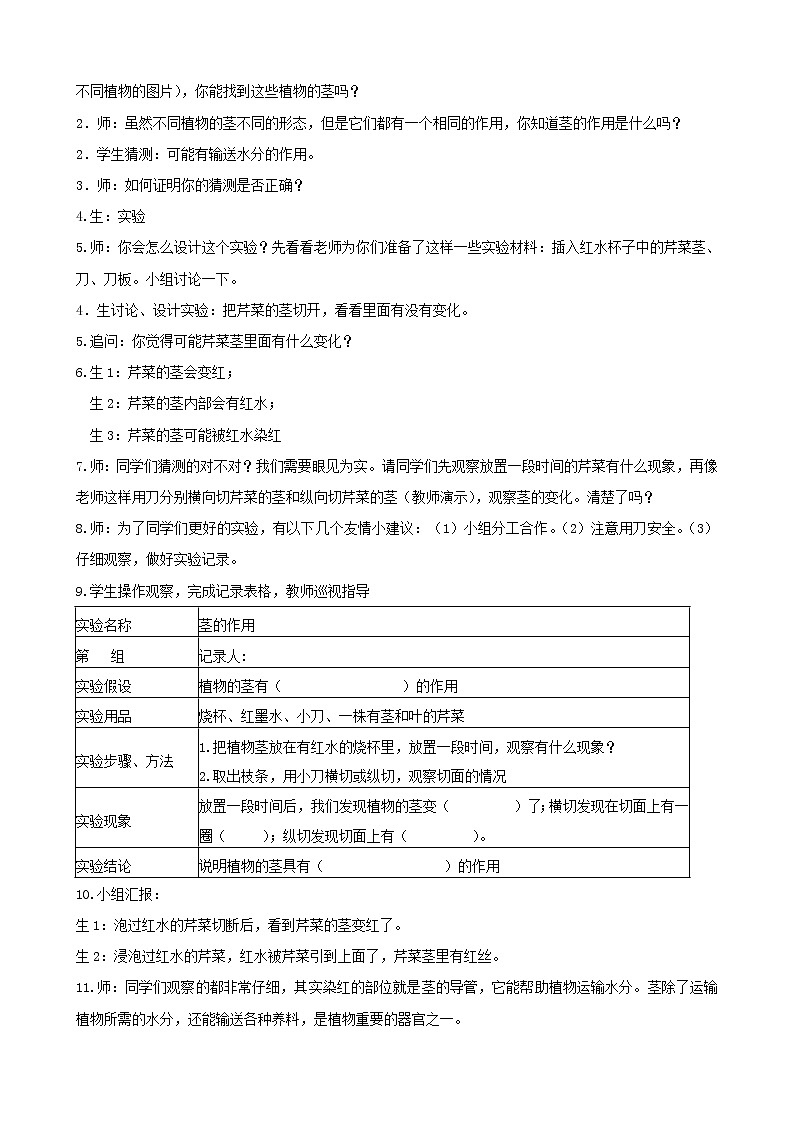 三年级科学下册第一单元植物的一生2幼苗长大了教案2苏教版02