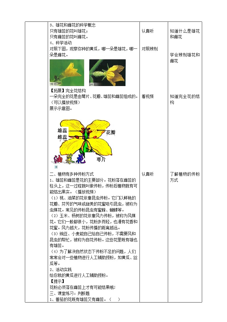 三年级科学下册第一单元植物的一生1.3《植物开花了》教学设计苏教版第2页