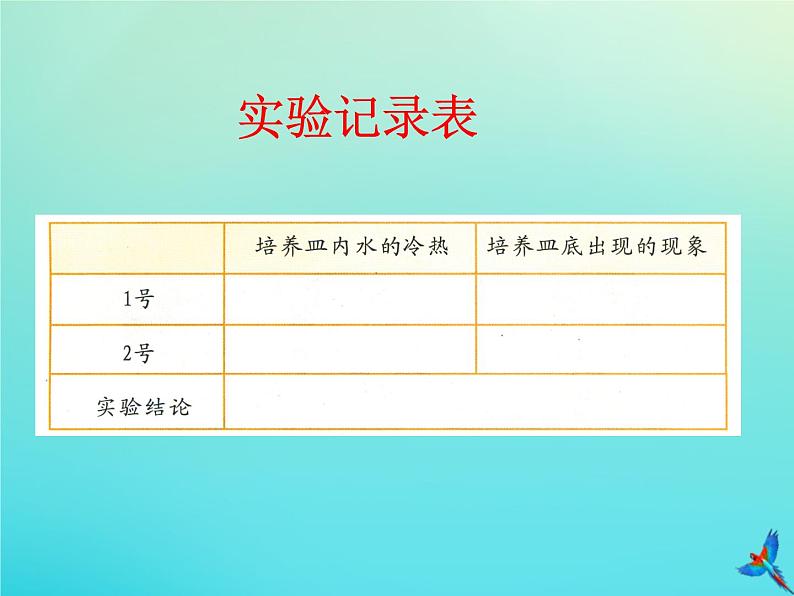 三年级科学下册第二单元水的三态变化2.2水蒸气的凝结课件（新版）湘科版06