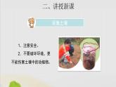 三年級(jí)科學(xué)上冊(cè)第二單元研究土壤4土壤的成分課件（新版）蘇教版