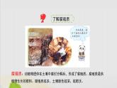 三年级科学上册第二单元研究土壤6肥沃的土壤课件（新版）苏教版