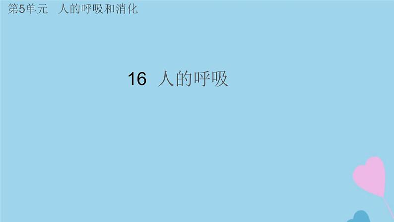 三年级科学上册第五单元人的呼吸和消化16人的呼吸课件（新版）苏教版第1页