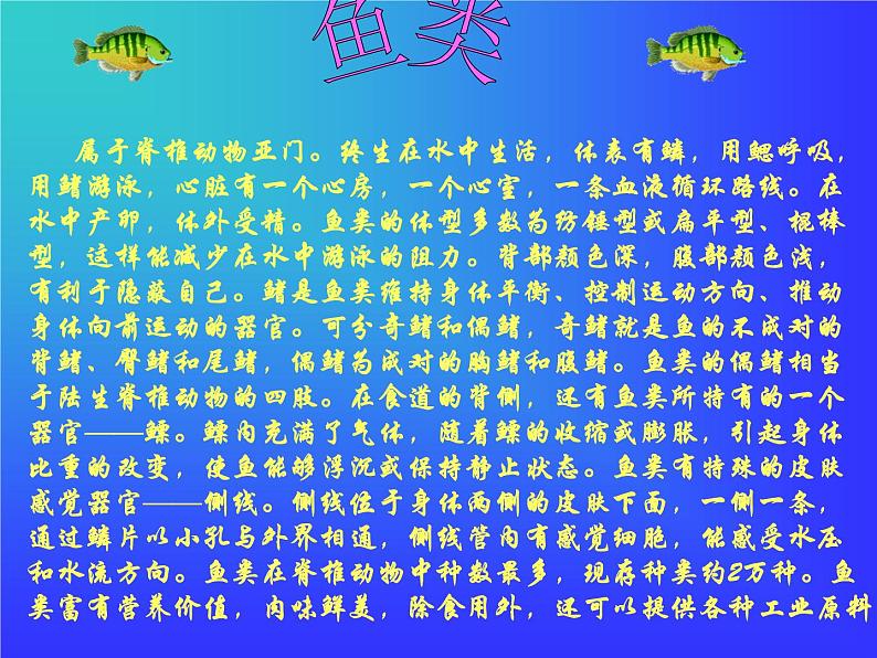 （首师大版）三年级上册科学课件-5 动物世界06