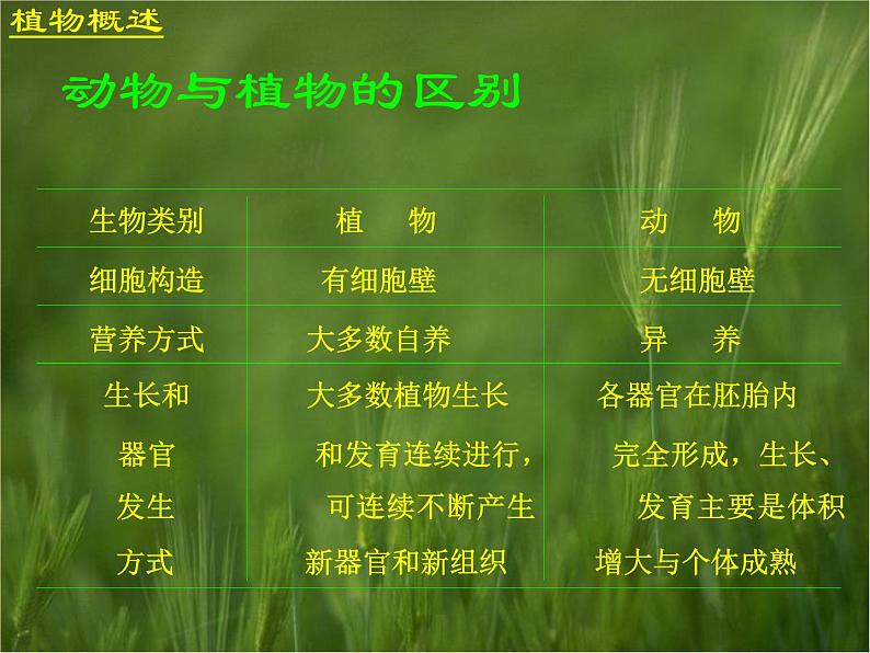 （首师大版）三年级上册科学课件-2 植物世界05