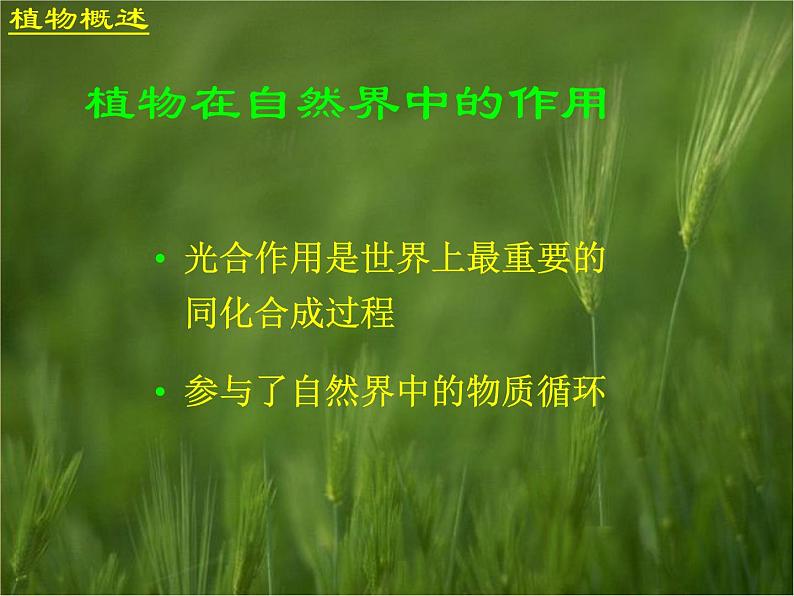 （首师大版）三年级上册科学课件-2 植物世界06