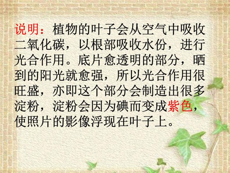 （首师大版）三年级上册科学课件-15《空气和生命》05